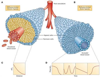 Oxygen Sensing, Hypoxia Tracing and in Vivo Imaging with Functional Metalloprobes for the Early Detection of Non-communicable Diseases